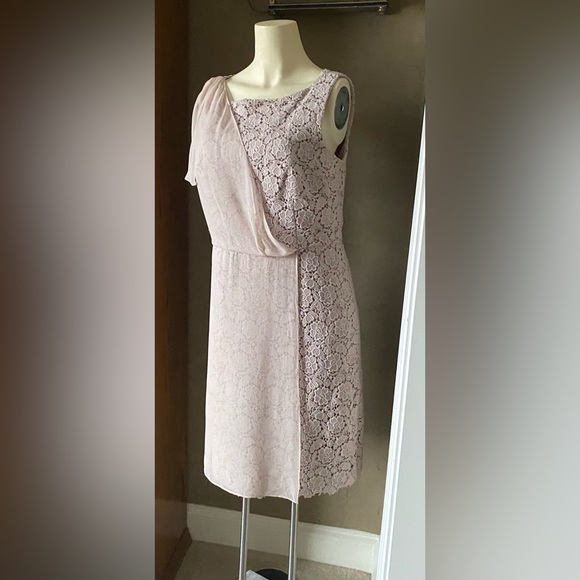 Ann Taylor Beige Knee Length Dress Lace With Partial Sheer Panel Women's Size 10 - Picture 2 of 14